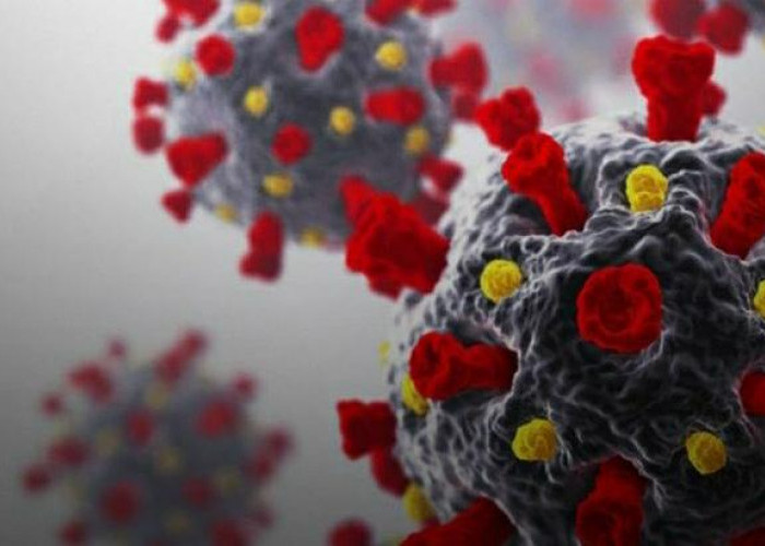 Asked to Be Alert: Two Cases of the New Variant of COVID-19 Arcturus Found in Indonesia