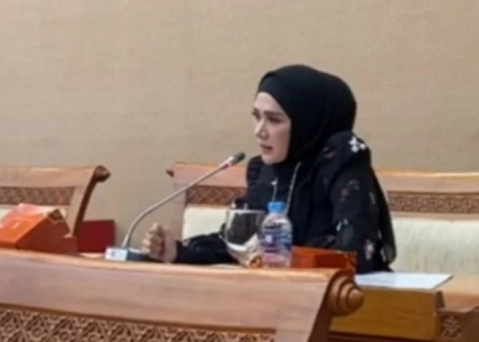 Mulan Jameela Kritik  Kompor Induksi, Tidak Cocok untuk Masakan Indonesia