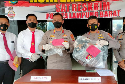 Jeratan Pasal Berlapis untuk Pelaku Penusukan Dalam Keributan Organ Tunggal di Lampung Barat, Tapi… 