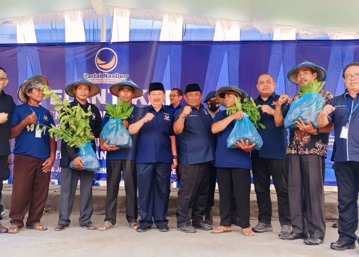 Rebut Hati Rakyat Tulangbawang Barat dalam Pemilu 2024, Partai NasDem Lampung Sebar 20 Ribu Bibit Produktif