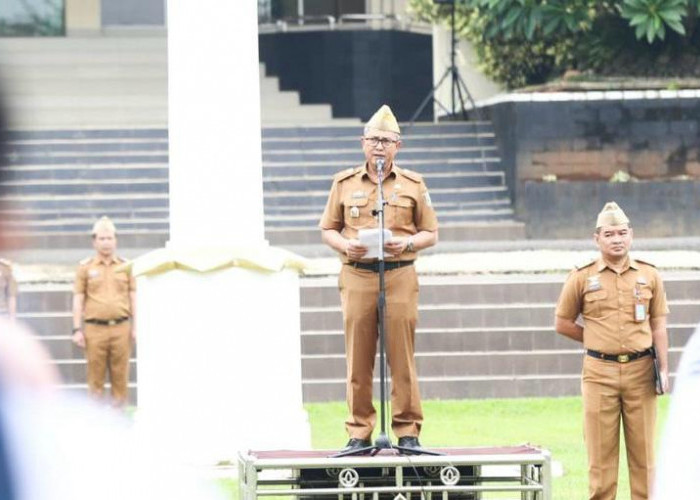 Lakukan Berbagai Inovasi, Pemkab Pesawaran Maksimalkan Realisasi Penerimaan Daerah