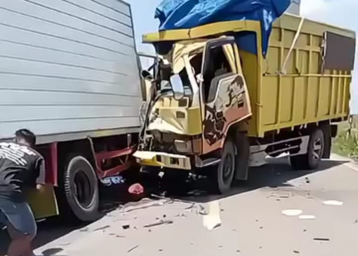 Adu Kambing Dua Truk di Jalan Nasional Lintas Rawajitu Tulang Bawang, 4 Orang Luka Berat