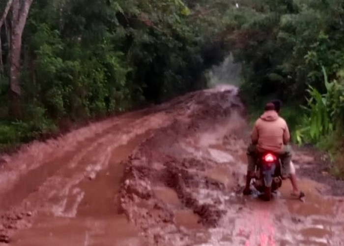 Ya Ampun, Ruas Jalan Pakuon Ratu–Mesir Ilir Rusak Parah! Warga Berharap Segera Ada Perbaikan