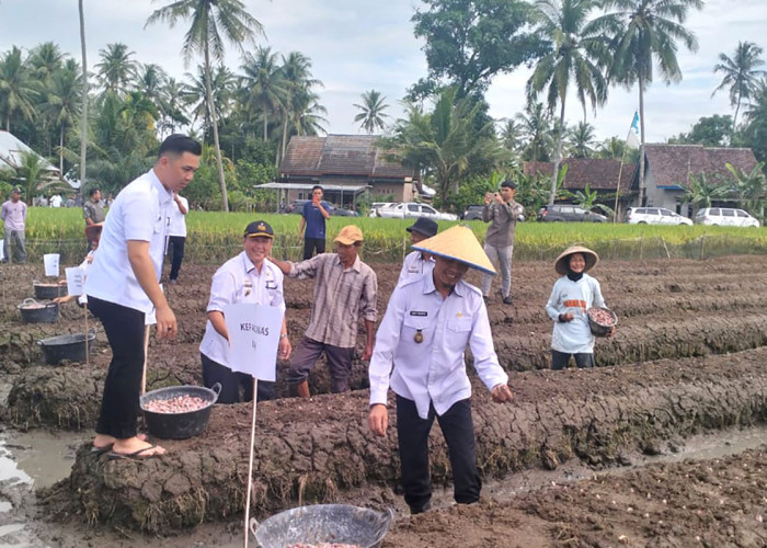 Gulirkan Gertak Mata Babe di Wonosobo, Wabup Tanggamus Harapkan Jadi Movitasi Poktan dan KWT 