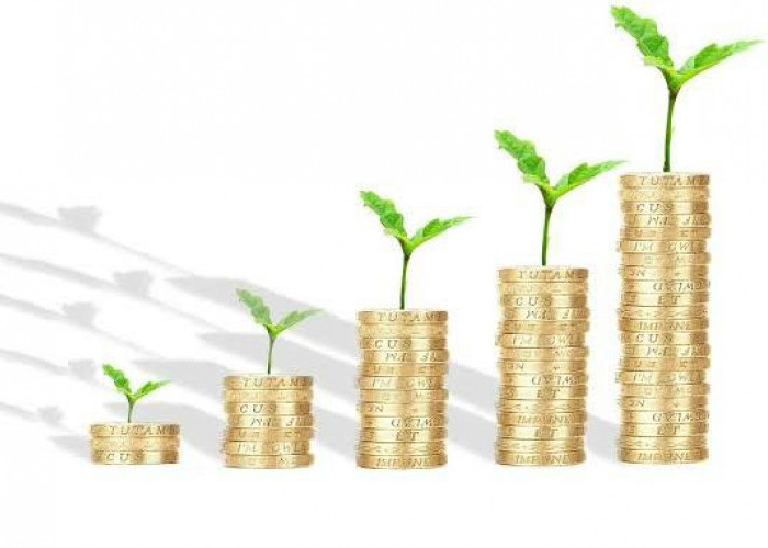 Bingung Pilih Produk Investasi? Coba Lakukan Lima Tips Ini