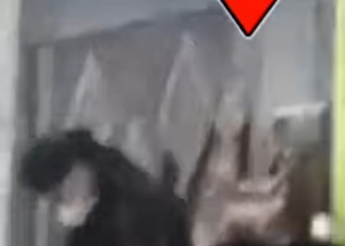 Pengalaman Mistis saat Gus Miftah beri Pengajian di Lampung, Ada Sosok Bermahkota Mirip Nyi Roro Kidul 