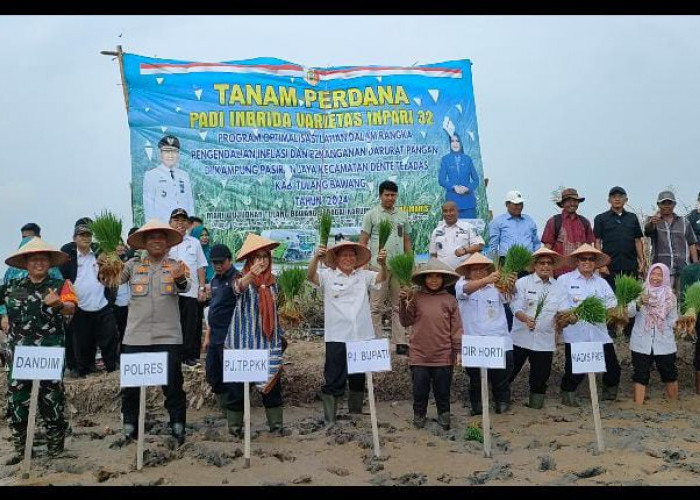 Tanam Perdana Padi Inbrida, Pj Bupati Tulang Bawang: Upaya Kendalikan Inflasi dan Darurat Pangan
