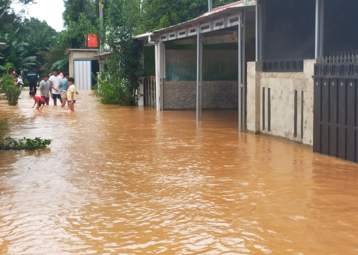 Lampura Dikepung Banjir, Lahan Pertanian, Ternak, Kolam Ikan, Jembatan, Jalan, Hingga Ratusan Rumah Terendam