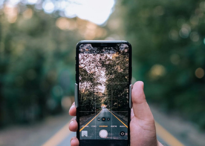 Tak Perlu Mahal, Ini 3 Rekomendasi HP Android Dengan Kamera 0,5 Ultra Wide
