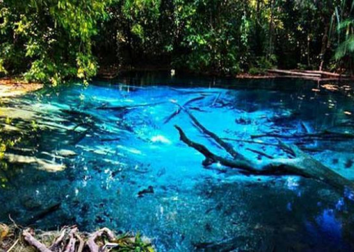 Danau Kaco si Mutiara Biru Tersembunyi di Provinsi Jambi