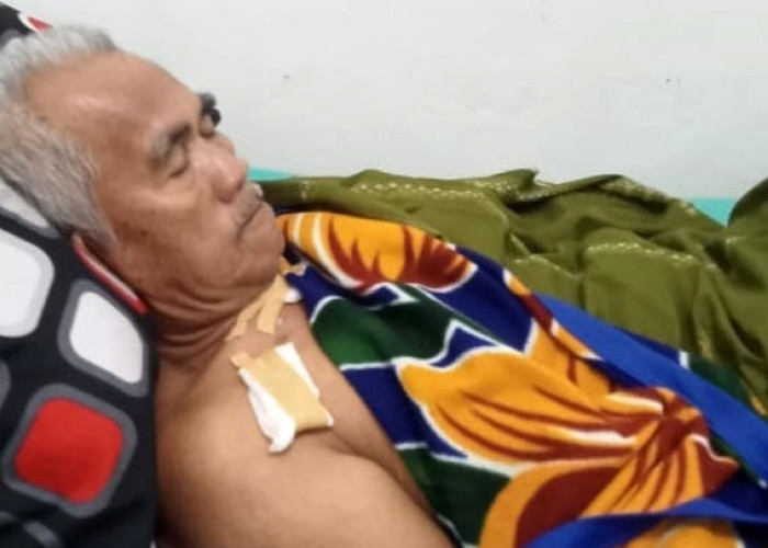 Buaya Way Semaka Tanggamus Lampung Kembali Serang Warga, Pria Lansia Alami Luka Serius 