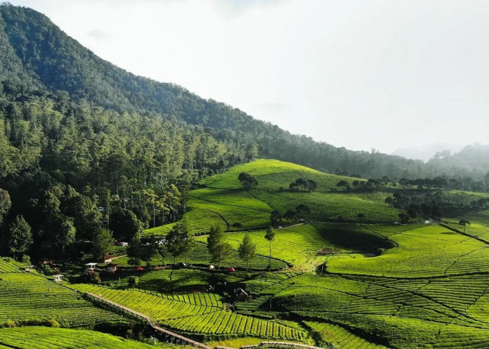 Nuansa Riung Gunung Pangalengan Disebut Swiss-nya Bandung, Surga Dunia Bagi Pecinta Alam