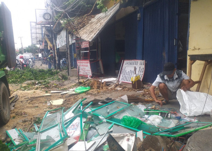 Pohon Tumbang Rusak 4 Ruko, Salah Satunya Gerai Bakso yang Sedang Viral