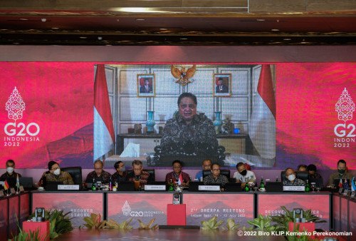 Airlangga Serukan Anggota G20 Bersatu untuk Mengatasi Permasalahan Global   
