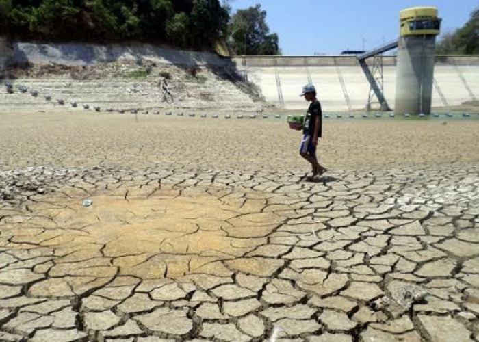 Kendalikan Inflasi Dampak El Nino, Puluhan Ribu KPM Tulang Bawang Akan Dapat Beras 10 Kg