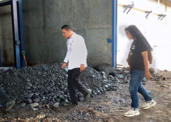 Harga Singkong Turun, Pemkab Lampura Sidak Perusahaan