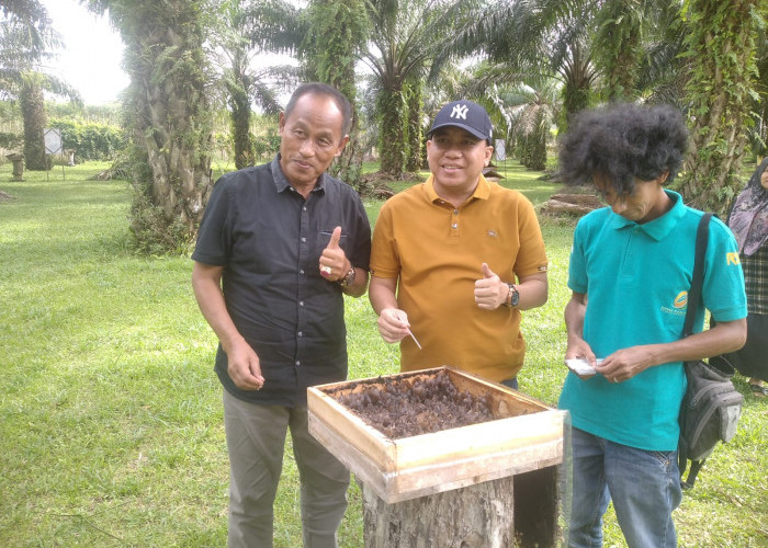 DPRD Dorong Pengembangan Madu Trigona Sungkai Utara