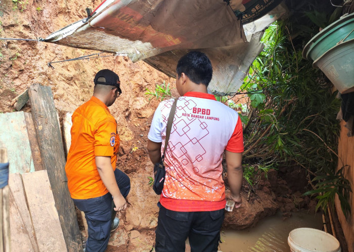 Hujan Sejak Pagi Akibatkan Dua Pohon Tumbang dan Longsor 