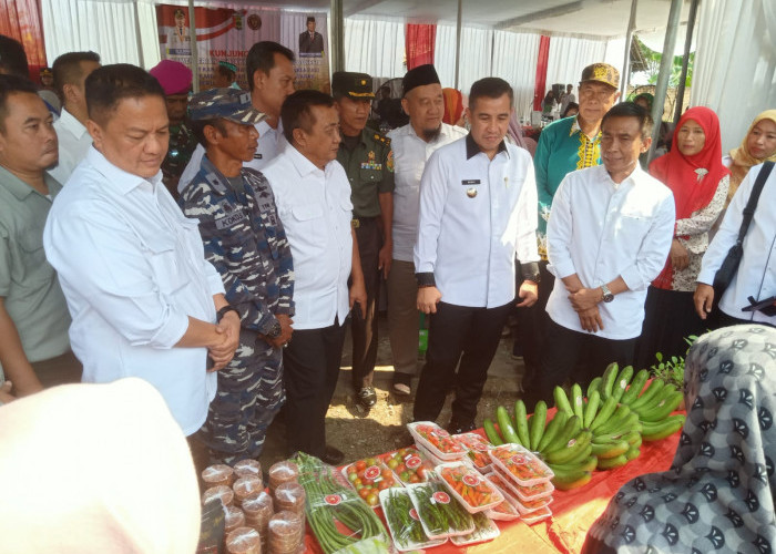 Alih Fungsi Lahan Pertanian di Pesawaran Cukup Mengkhawatirkan