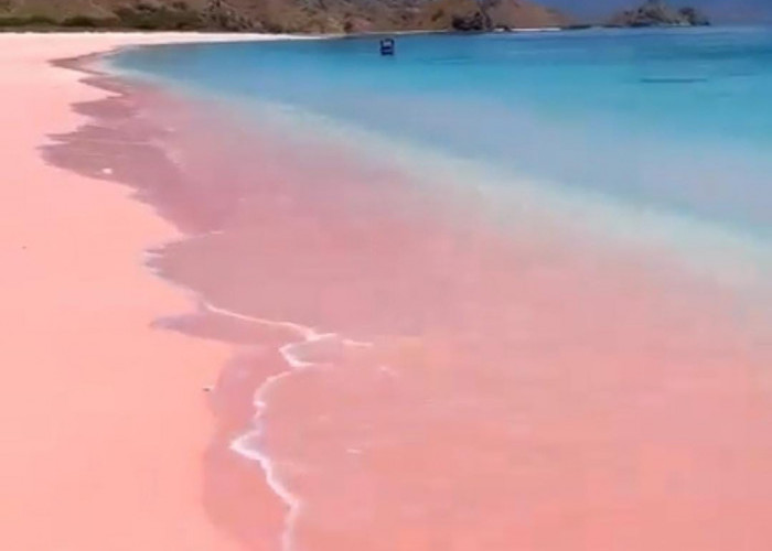 Indah Juga Eksotis, 6 Deretan Destinasi Wisata di Pulau Flores Nusa Tenggara Timur Ini Sangat Menarik