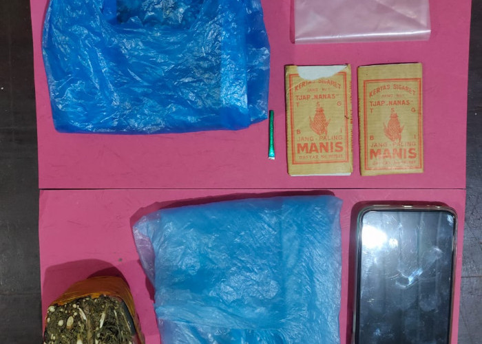  Edarkan Ganja, 7 Pengedar dan Pemakai Diamankan sedang 'Berpesta' di Lapo Tuak