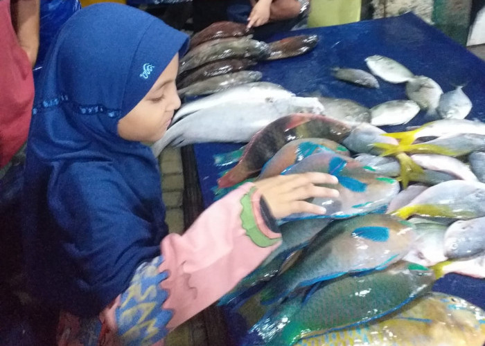 Penting, Begini Cara Mengetahui Ikan Segar Sebelum Membelinya