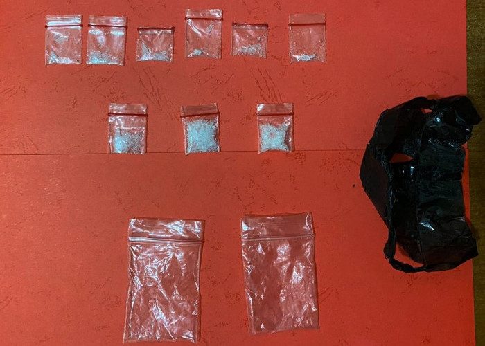 Polres Tulang Bawang Tangkap Dua Pengedar Narkoba di Kebun, Sita 9 Paket Sabu Siap Edar