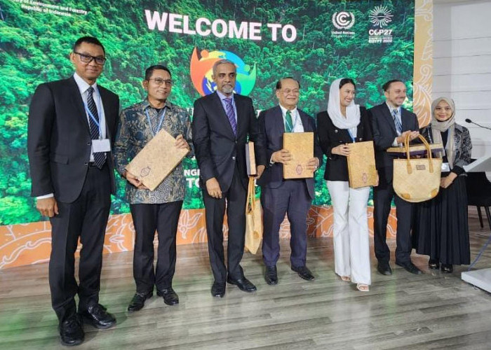 PLN Berhasil Reduksi 32 Juta Metrik Ton Emisi Karbon di Tahun 2022