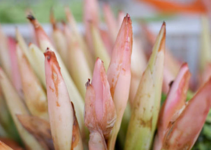 Tidak Hanya Cantik dan Harum, Ini 5 Manfaat Kecombrang Bagi Kesehatan