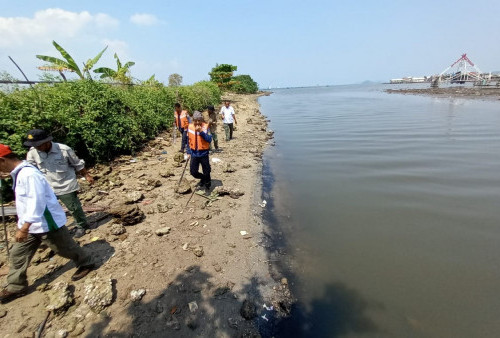 Buaya yang Teror Perairan Gudang Agen Belum Ditemukan, Begini Pesan Petugas