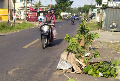 Jalan Utama Penghubung Talang Padang-Lampung Barat Dibangun Tahun Ini 