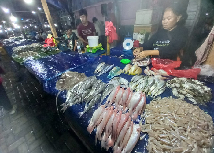 HARGA IKAN NAIK