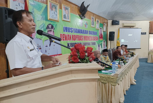 Pemkab Lamtim Siap Menjadi Mitra Dekopinda