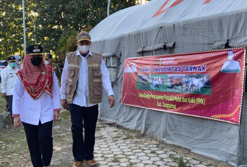 Senin, Vaksin 100 Ternak Sapi, Hari ini Target 300 Dosis 