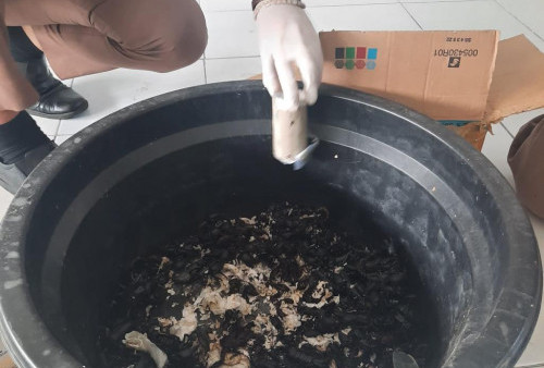 Bea Cukai Gagalkan Penyelundupan Ratusan Kalajengking Tujuan Korea Selatan