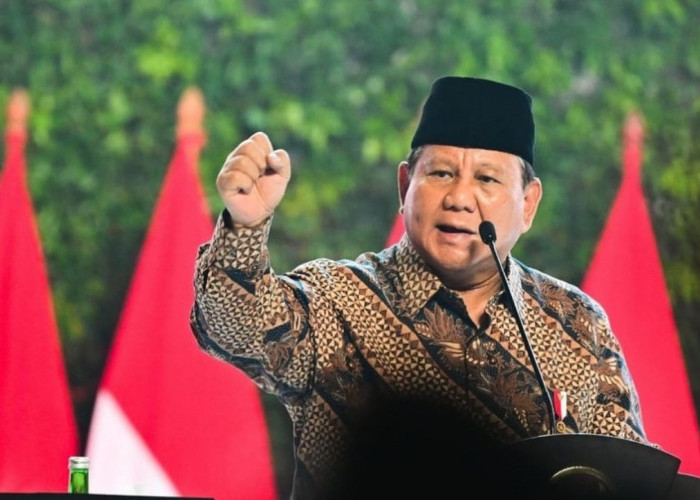 Presiden Prabowo Arahkan Kejar Target Swasembada Pangan 2028, Ini Strategi yang Akan Dilakukan Pemerintah