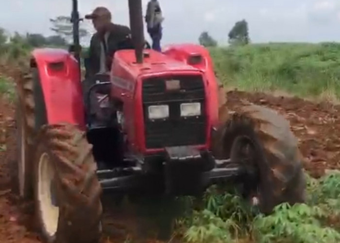 LBH Bandar Lampung Minta Pemprov Tak Intimidasi Petani Singkong di Kota Baru pada Bulan Ramadan 