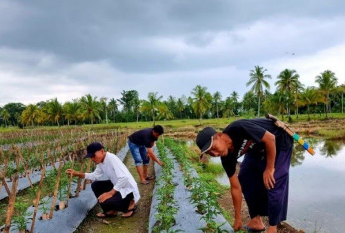 Ciptakan Harmonisasi Kehidupan Masyarakat di Pekon Teba