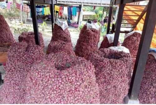 Harga Bawang Merah Naiknya Bikin Menangis