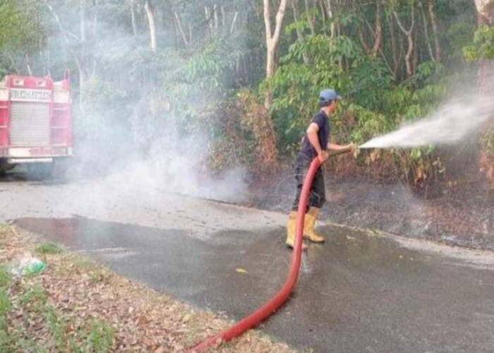 Lahan Perkebunan Karet Dekat Pemukiman Terbakar, Khawatir Meluas Warga Tulang Bawang Lapor Damkar