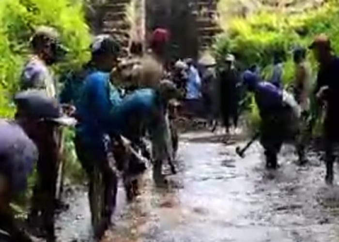 Ratusan Hektar Area Persawahan Terancam Kekurangan Air, Ini Penyebabnya