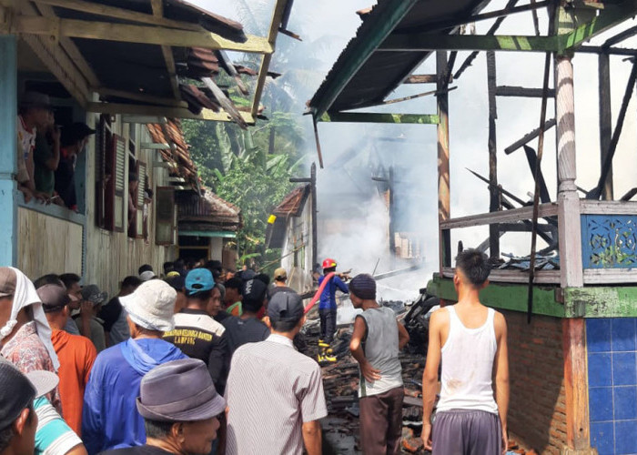 Kebakaran di Pesawaran, Penyebabnya Diduga Karena Ini 