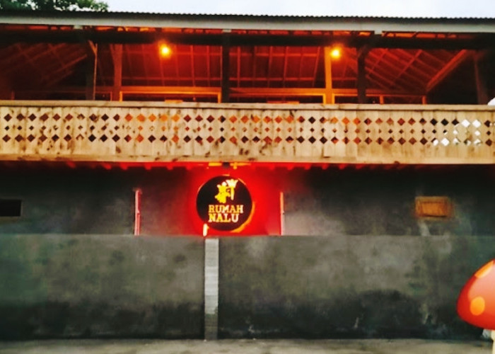 Sewa Kamar Mulai Rp 50 Ribu Per Malam, Ini 5 Penginapan Low Budget Dekat Kawasan Wisata Pesisir Barat Lampung