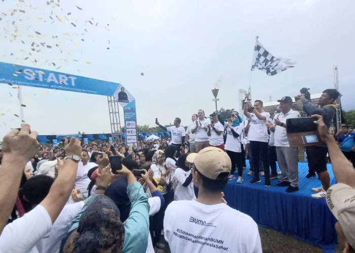 PLN Dukung BUMN Kembangkan Potensi UKM Lewat Jalan Sehat