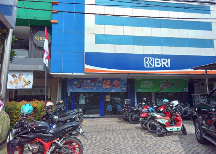 Kurun 2024, 219 Ribu Lebih UMKM di Lampung dan Bengkulu Terbantu KUR BRI