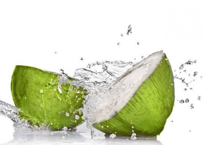 Wow, Mengonsumsi Air Kelapa Miliki Khasiat Baik untuk Kesehatan
