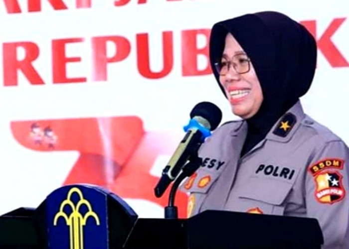 Sosok Brigjen Desy Andriani yang Masuk Mutasi Polri September 2024, Promosi Jabatan jadi Dirtipid PPA dan PPO