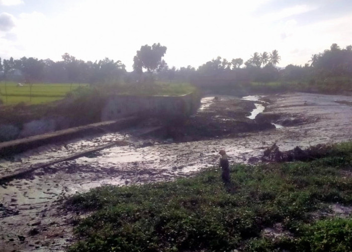 Diduga Termakan Usia, Tanggul Bendungan Widoro Payung Pringsewu Jebol 
