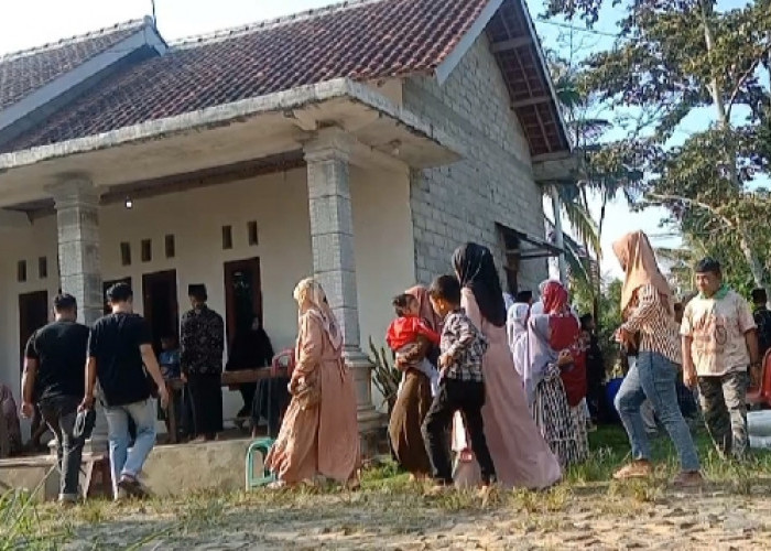 Jatuh dan Terinjak, Seorang Pawang Gajah Meninggal Dunia