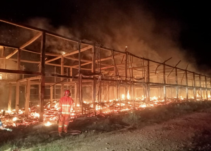 Kandang Ayam Terbakar, 18 Ribu Ekor Mati
